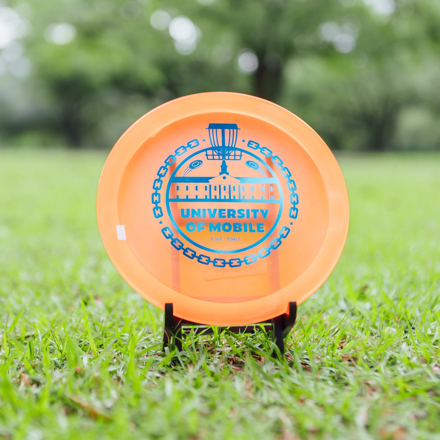 Innova Champion Leopard