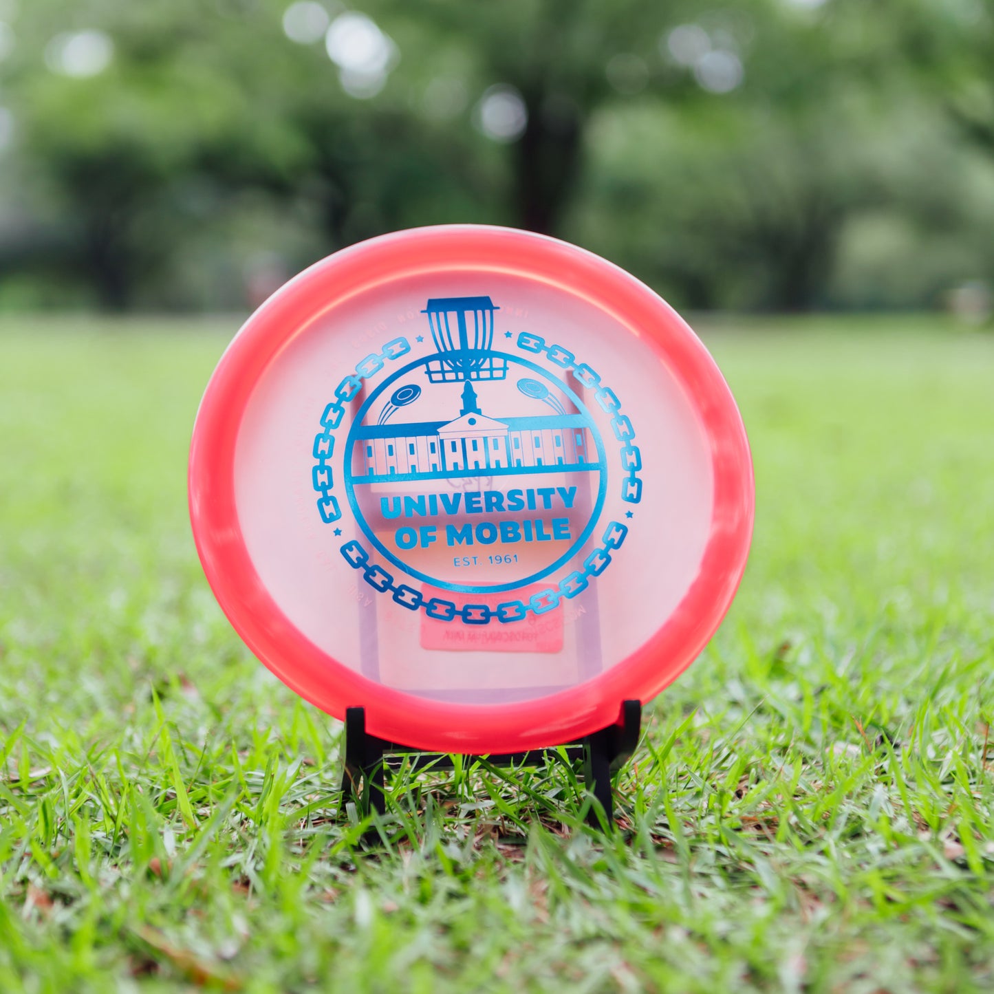 Innova Champion Leopard