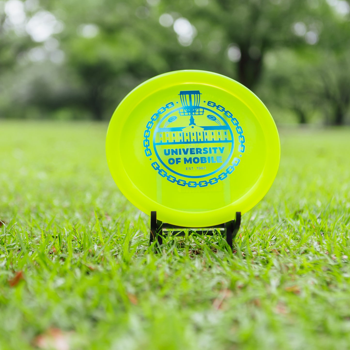 Innova Champion Leopard