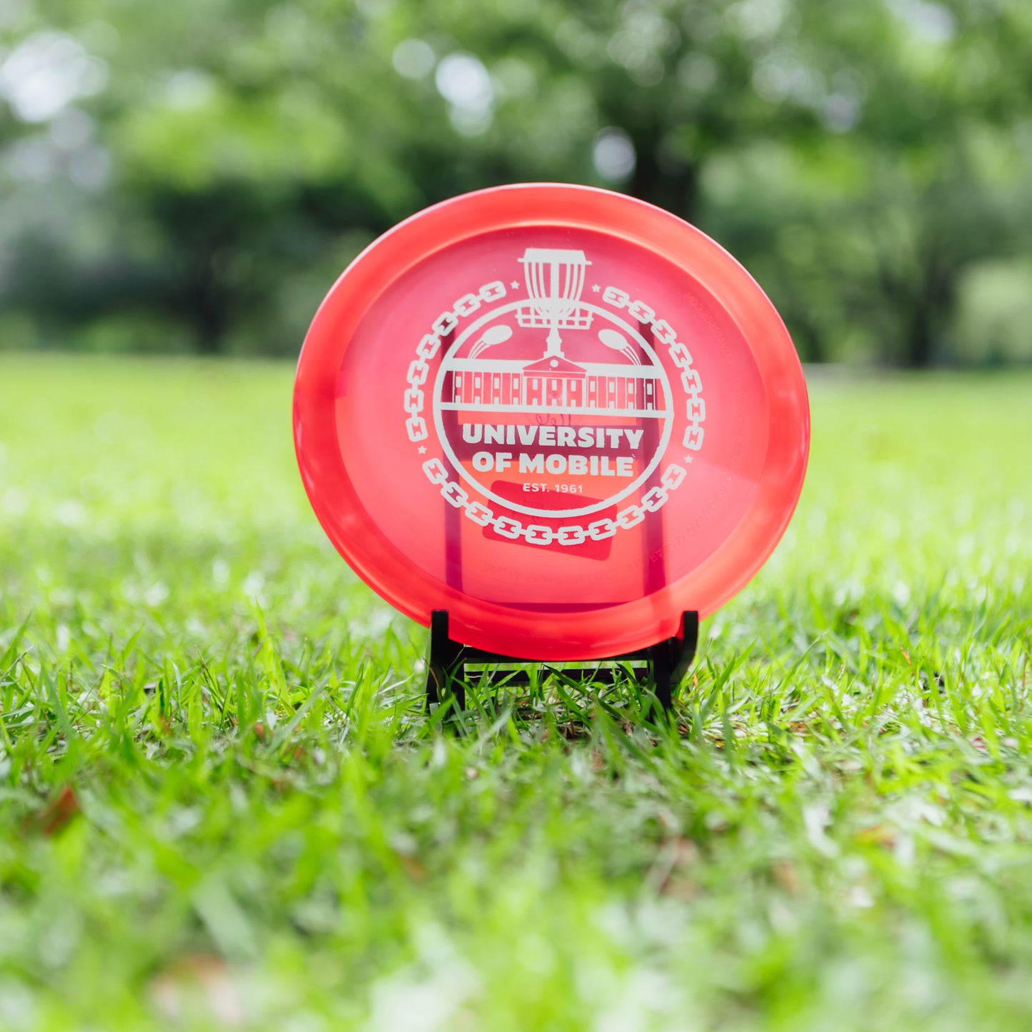 Innova Champion Leopard