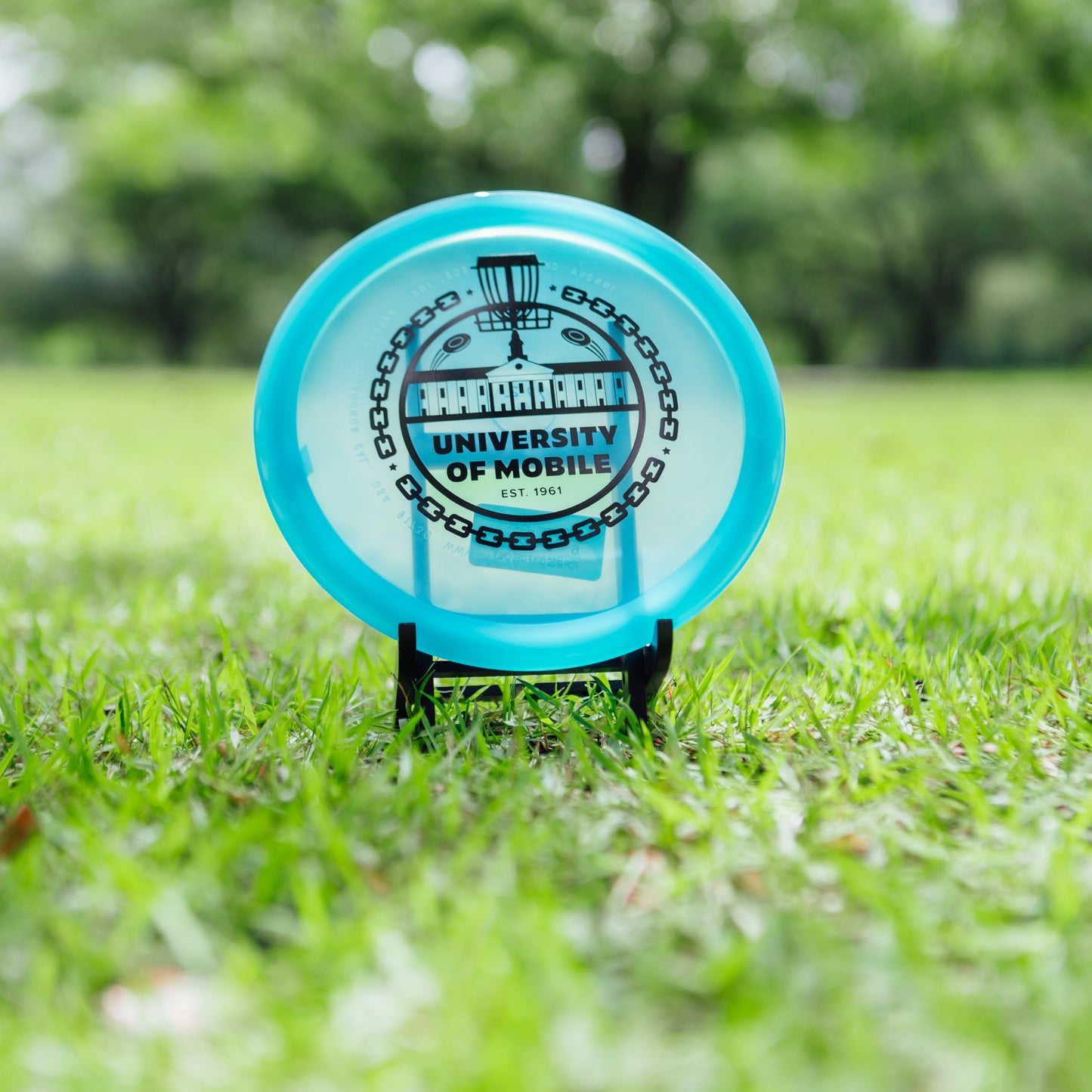 Innova Champion Leopard