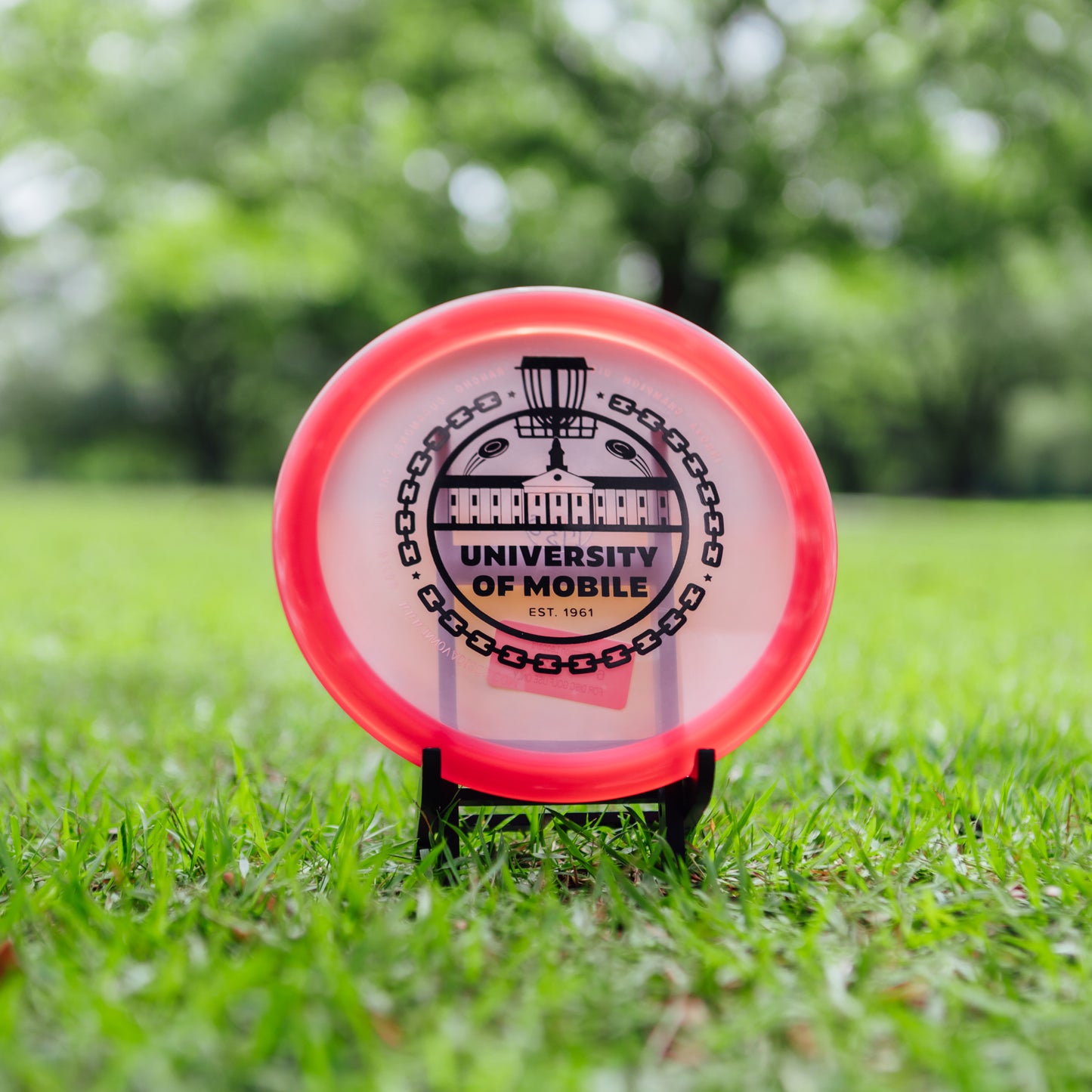 Innova Champion Leopard