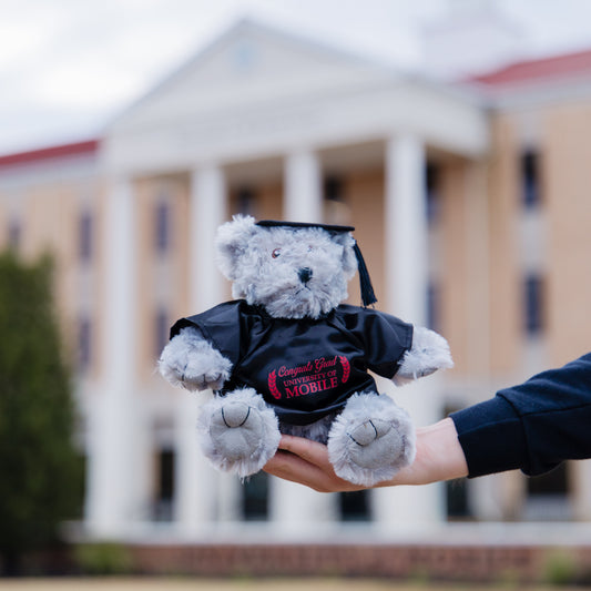 UM Graduation Teddy Bear