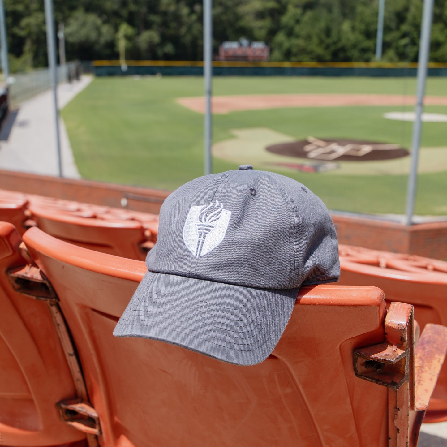 Charcoal Shield Cap